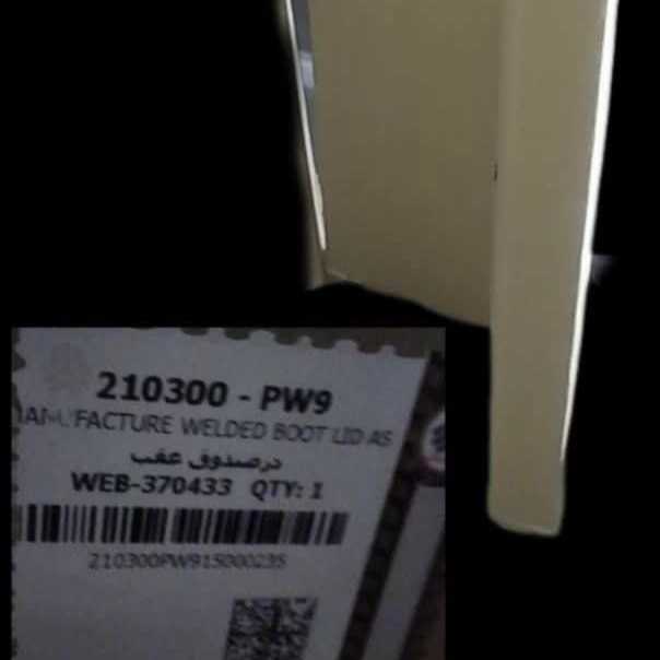 1719381191877.webp
